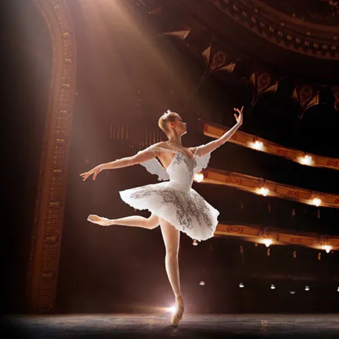 Performing Arts & Theater